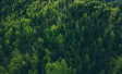 Ipsos | Earth Day | Environment | Climate change