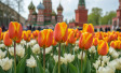 Ipsos Update – Март 2025