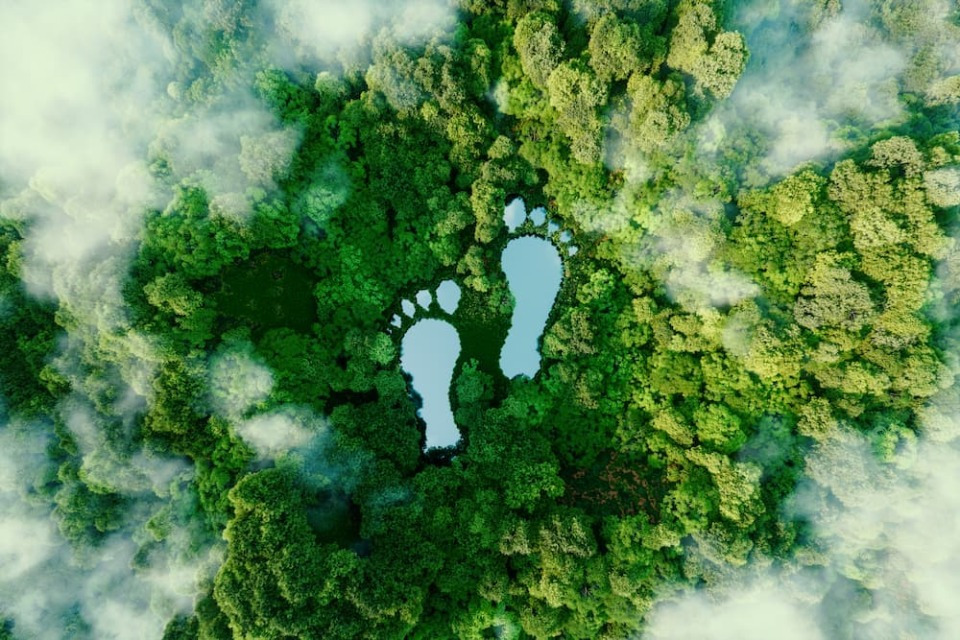 Ipsos | Sustainability | Holiday | Travel