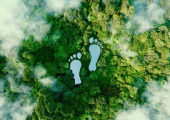 Ipsos | Sustainability | Holiday | Travel 